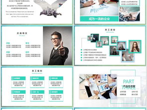 歐美風(fēng)工業(yè)互聯(lián)網(wǎng)數(shù)據(jù)服務(wù)企業(yè)簡介與融資計(jì)劃書（課件編號 26922607）