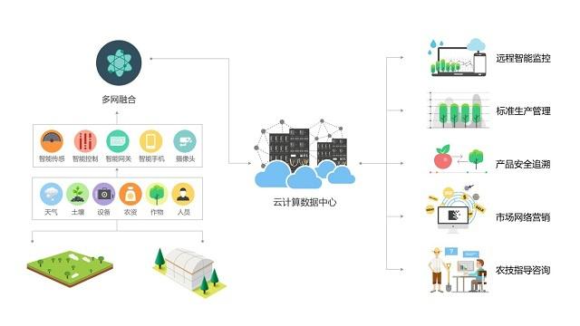 數(shù)據(jù)驅(qū)動(dòng)田野 智慧農(nóng)業(yè)如何重塑傳統(tǒng)農(nóng)耕未來